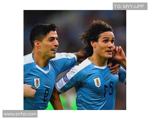 乌拉圭足球明星球员介绍及其在世界足球历史中的地位分析