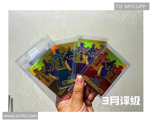 足球幻想球星卡市场价格揭秘每张卡片值多少钱如何影响收藏热潮